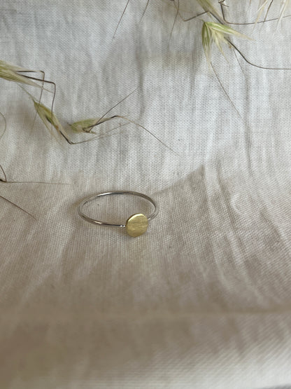 Initial Disc Stacking Ring
