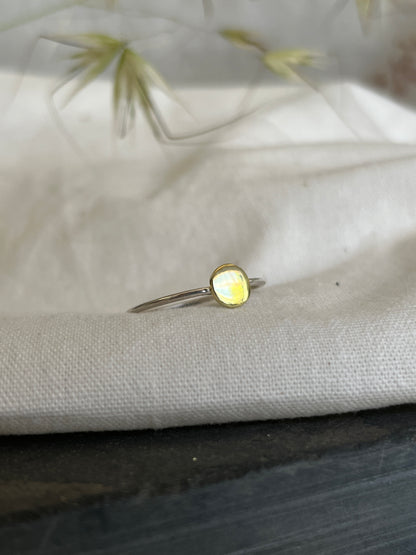 Initial Disc Stacking Ring