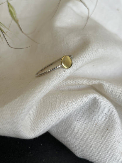 Initial Disc Stacking Ring