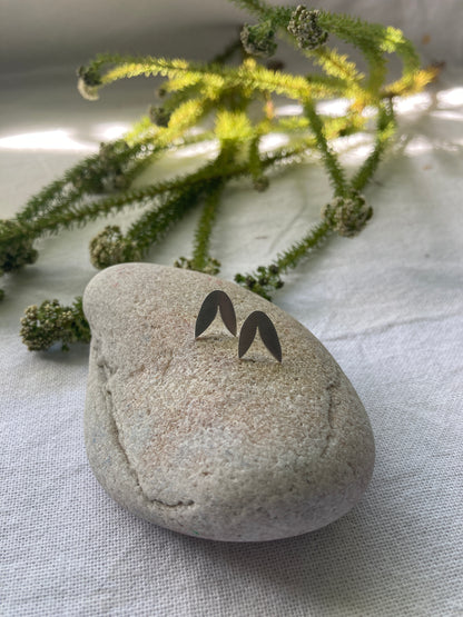 Sterling Silver Coro Stud Earrings